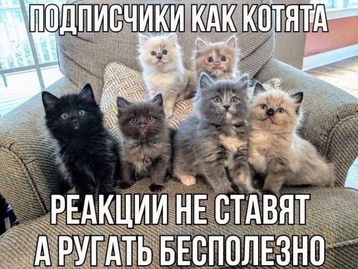 Утренняя подборочка