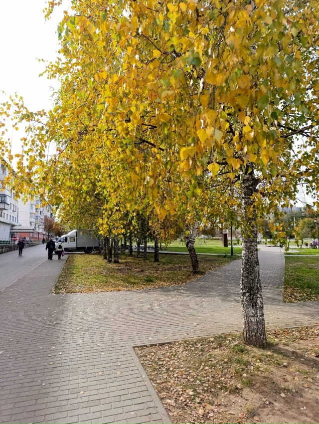 Фото: Lyubava lv