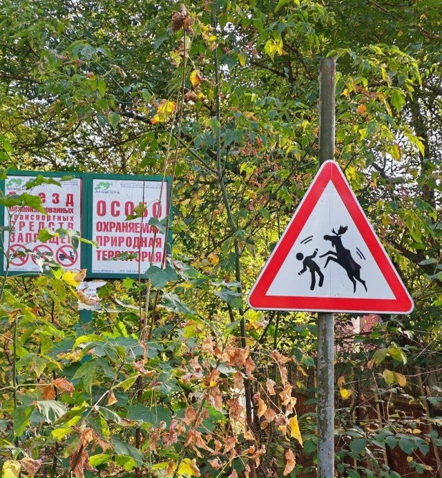 Знаки в Лосином острове, которых нет в ПДД