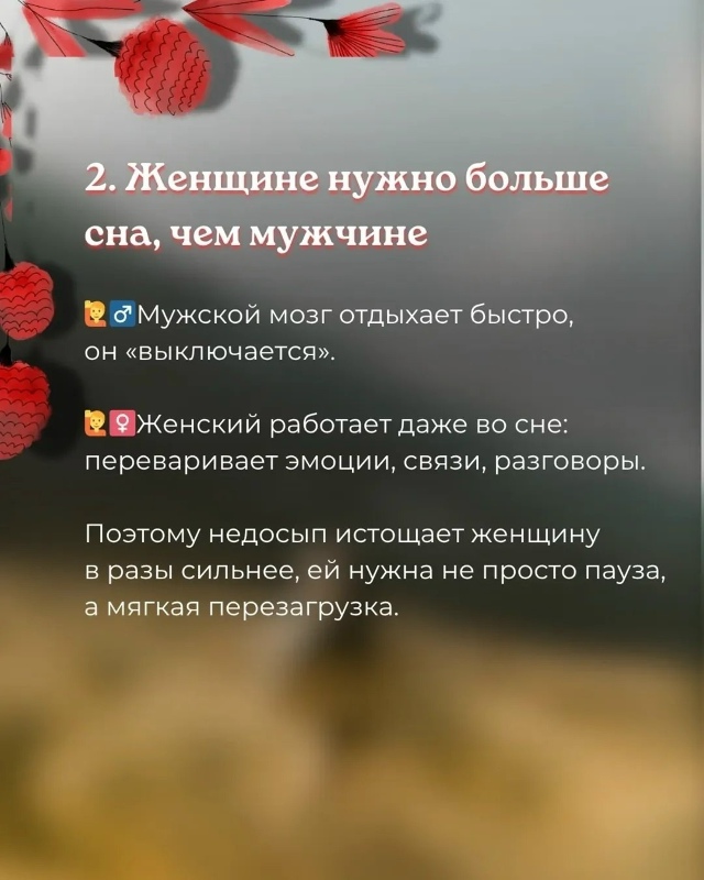 А что вы думаете на этот счёт