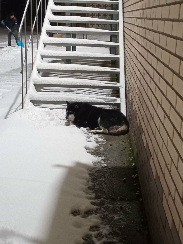 Больше 3 часов лежит у Бристоля около сэпы, никуда не ух...