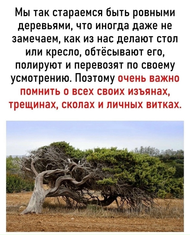 Наши особенности