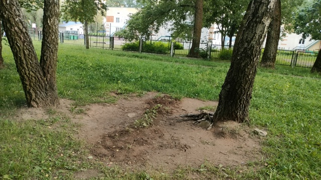 Главный вопрос в жизни: вернут ли на место новые лавочк...