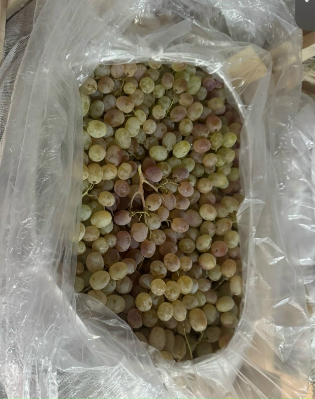 Добрый вечер, дорогие жители с. Красноусольск и Гафури?...