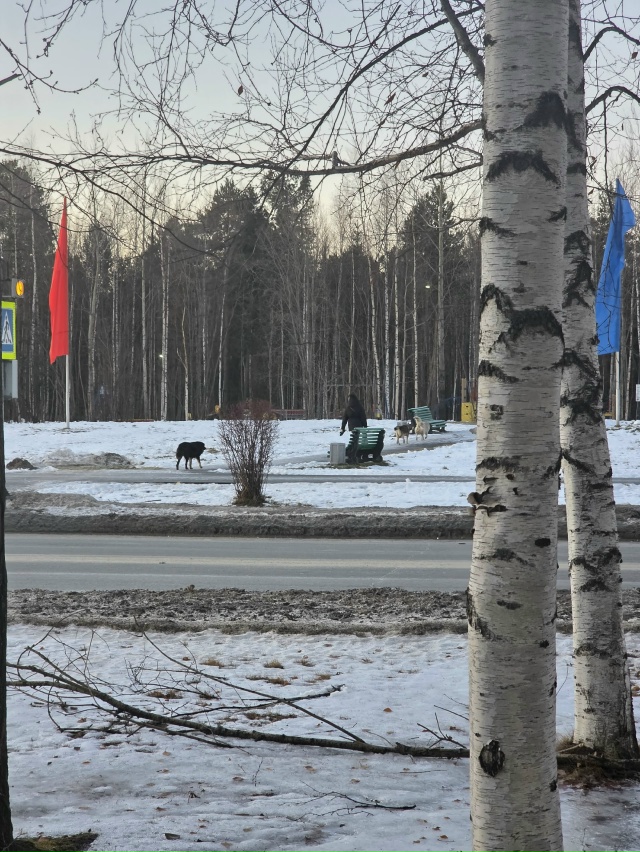 Когда это уже прекратится в городе? Когда будут убраны ...