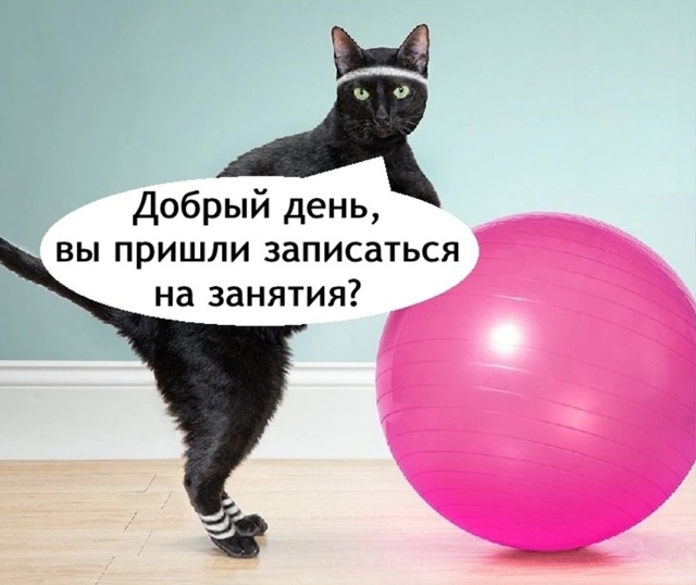 Это прям про меня
