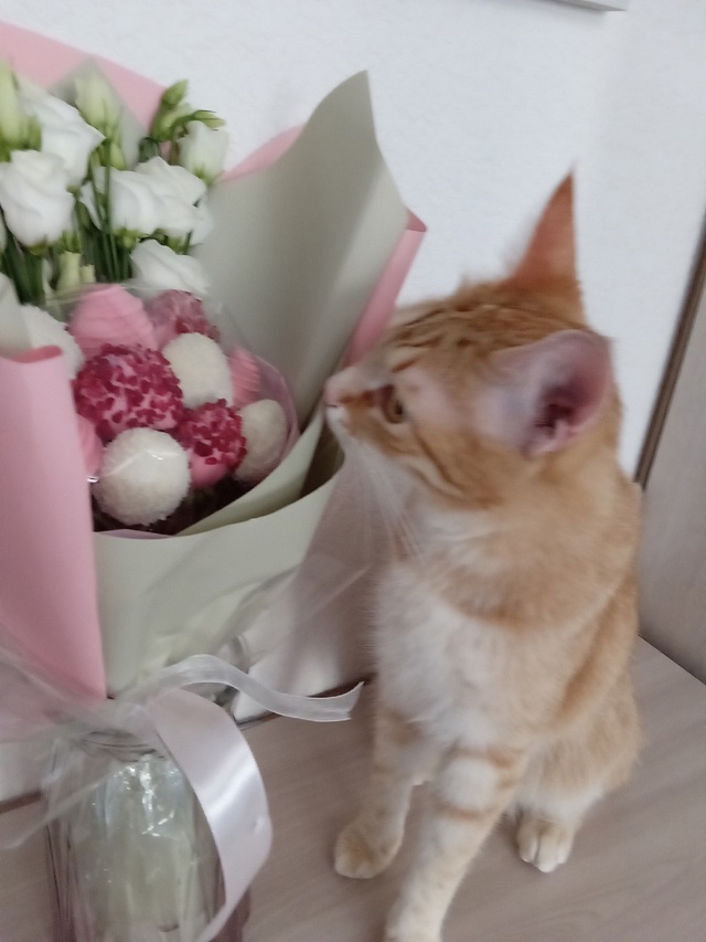 Тимошка и букетик💐🥰🌷
