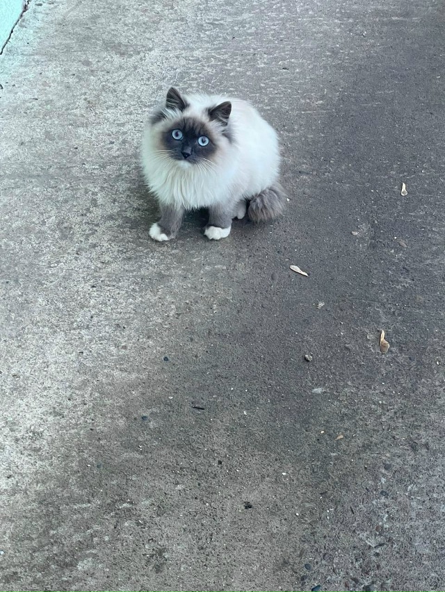 По ул. 9 Мая 95 живут в подвале вот такие очаровательные ?...