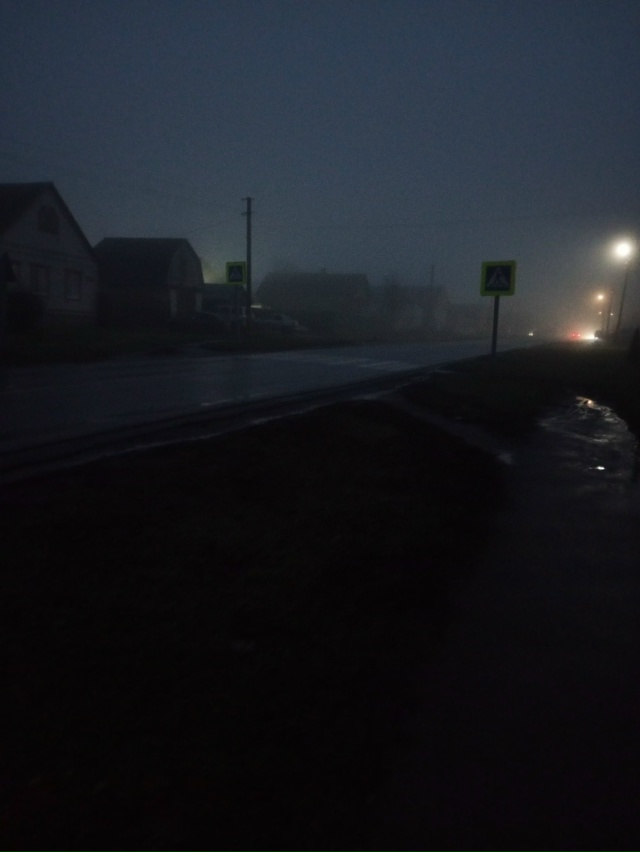 Это пешеходный переход в Городцах . У меня вопрос к адм?...