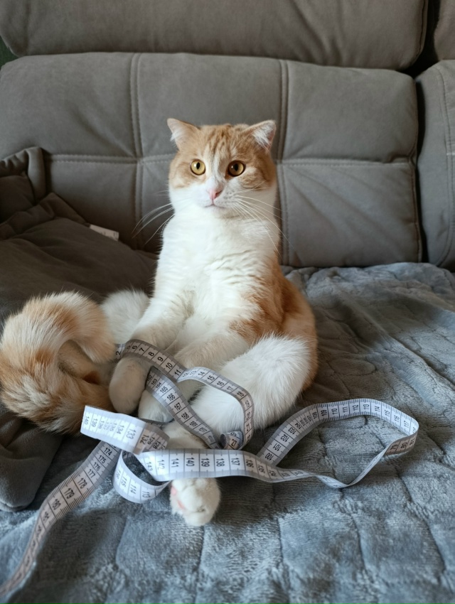 Сейчас бы печеньки с какао, а не это вот всё....