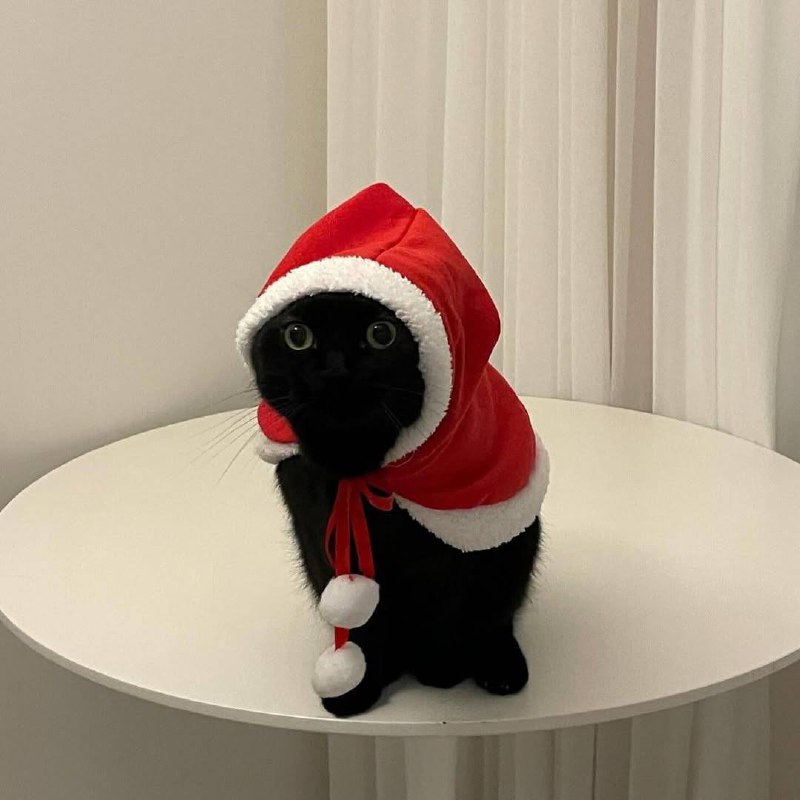 Снегурочка :3