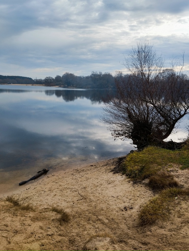 Сладкий ноябрь