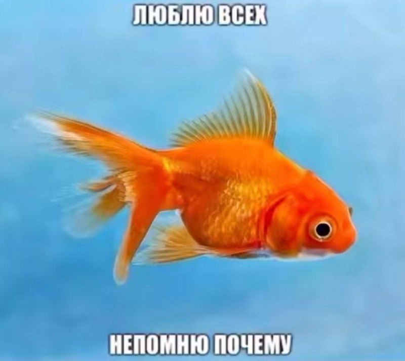 Когда бухая лайкаешь все истории подряд, как будто они выложены специально для тебя