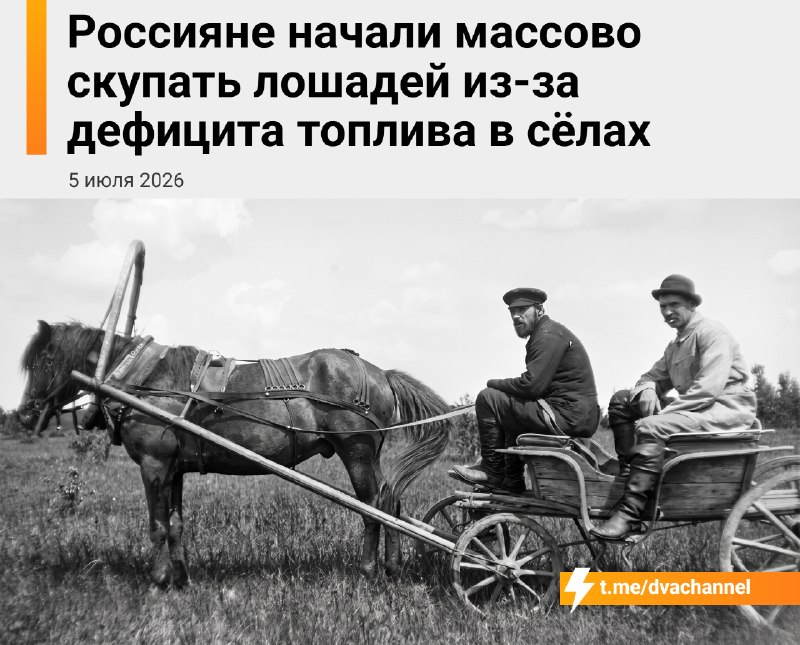 Россияне стали активно покупать лошадей на фоне нехватки топлива в сёлах
За последний месяц у прода