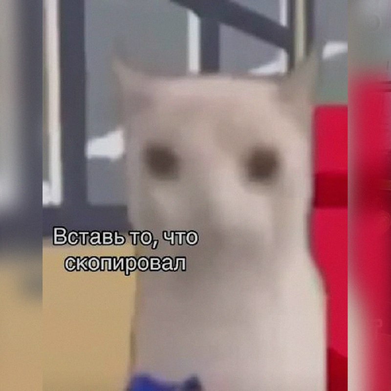 Ночная подборочка
Спать, режим