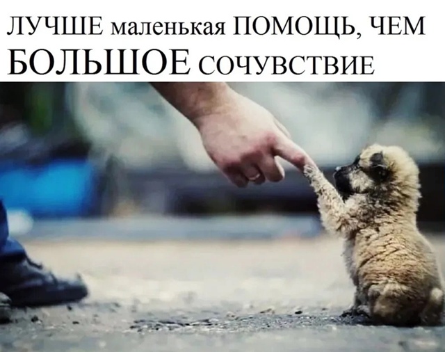 Друзья!
Мы снова просим у вас помощи в оплате долгов за...