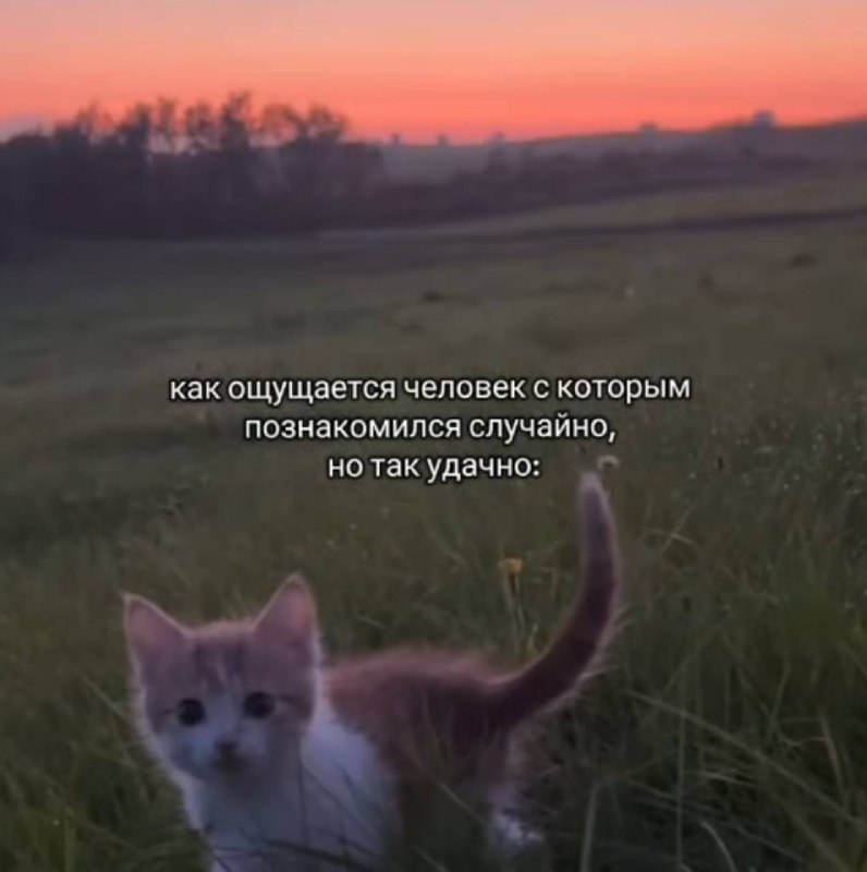 Утренняя подборочка