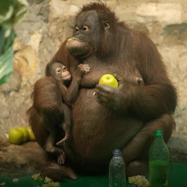 Дoбpoe утpo, дpузья! Отличнoгo вaм дня и хopoшeгo нacтpoeния!