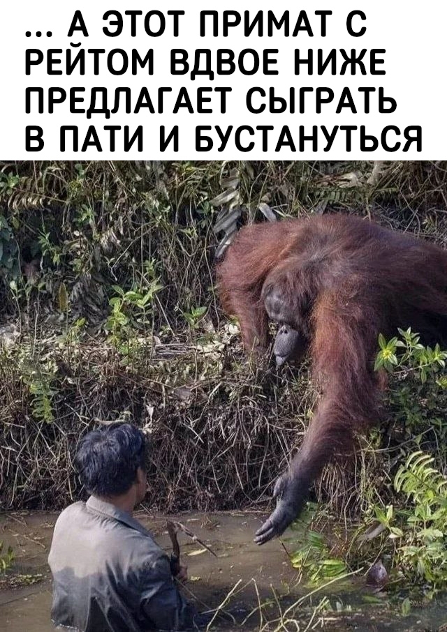 Кажется, система 50% специально тестирует на прочность.