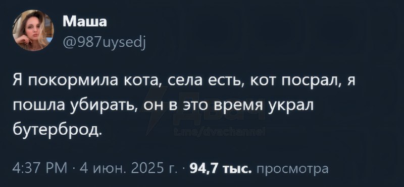 Дешёвка переиграна и уничтожена