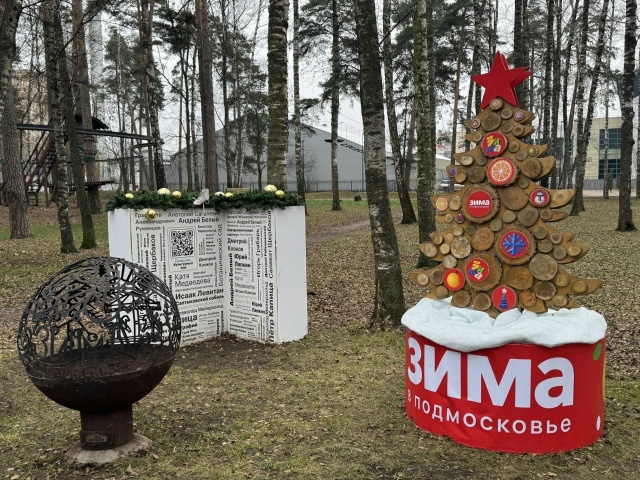 Полируют лед, включают гирлянды: Балашиха готова к отк?...