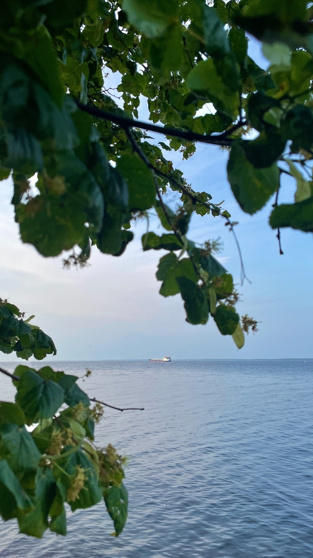 Вечер после жаркого дня ?