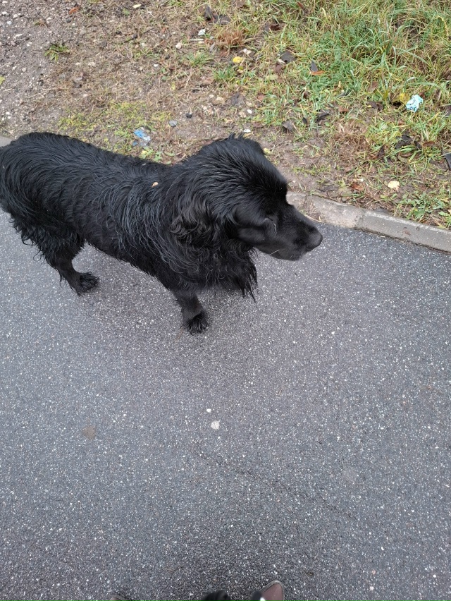 Бегает на Калинина.мальчик