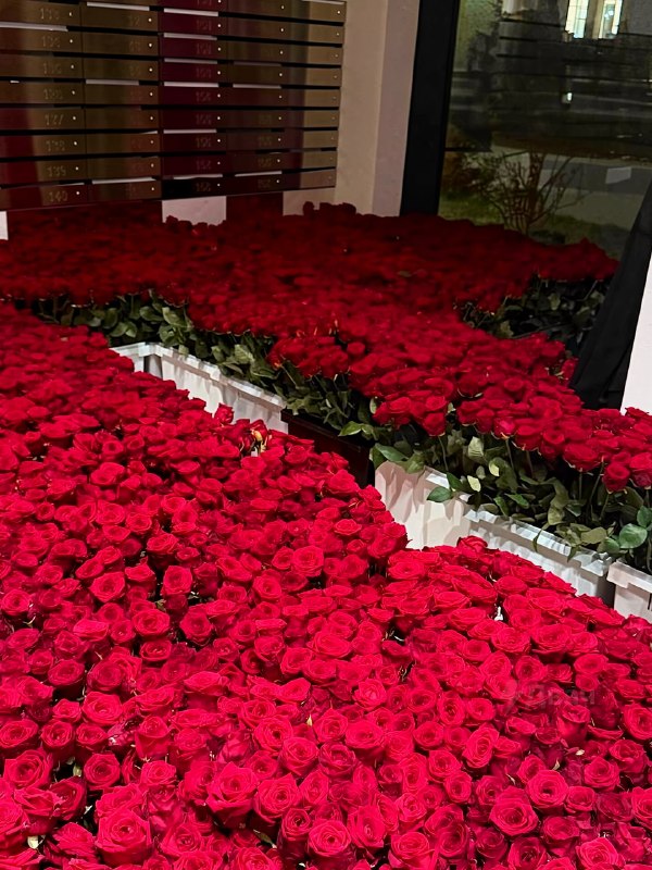 Москвич заплатил 70 миллионов рублей за признание в любви
Курьеры всю ночь таскали миллион роз и за