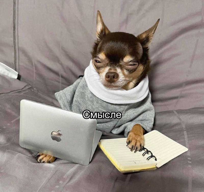 Я, когда опять вдохновилась каким-то лайфстайлом, смотрю видео, где кто-то рассказывает, как на осв