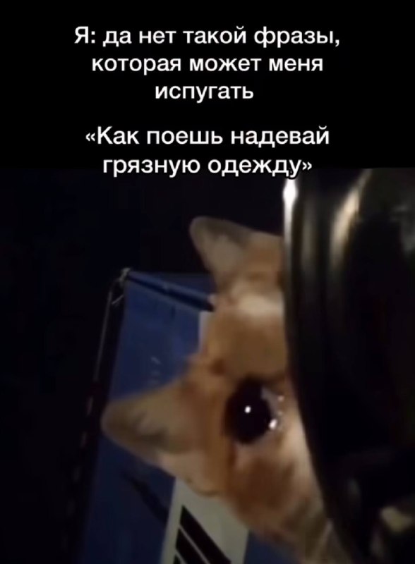 в единственный выходной