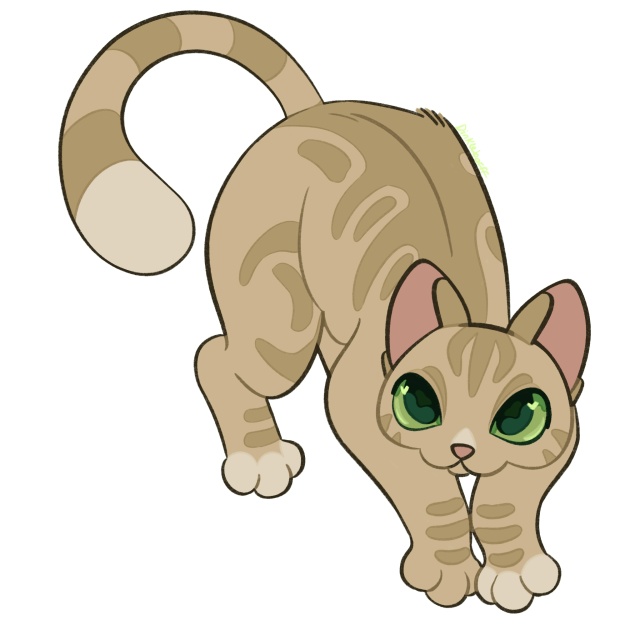 Песчаная Буря, Щербатая, Пепелица, Синяя Звезда, Коготь...