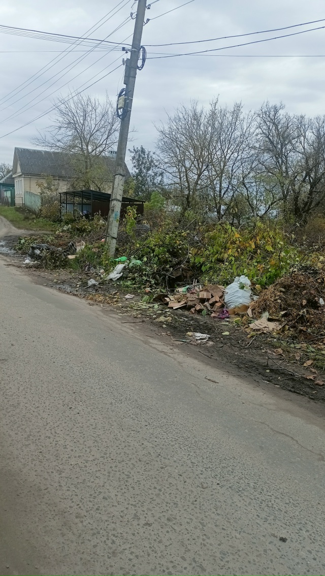 Жители Жучино вам не стыдно мусор вдоль дороги выбрасы...