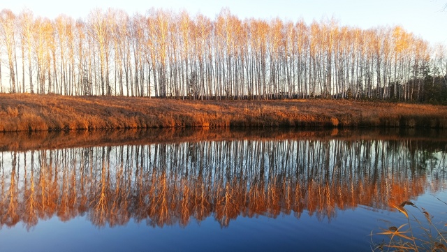 Пруд в Барашево Ульяновской области, кто знает сколько...
