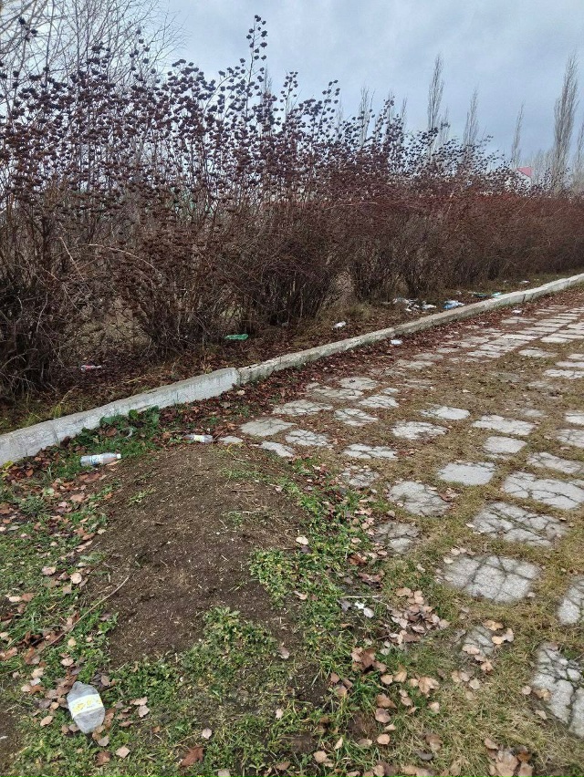 Помним, любим, скорбим.
Пришел к касевскому вечному ог?...