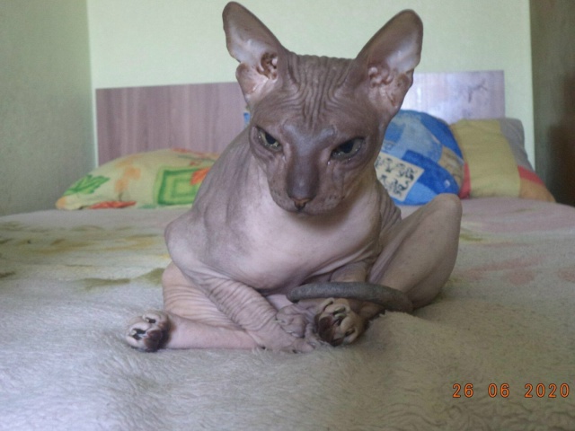 Буся, а по паспорту Буссилия Маргарита Первая, прекрас?...