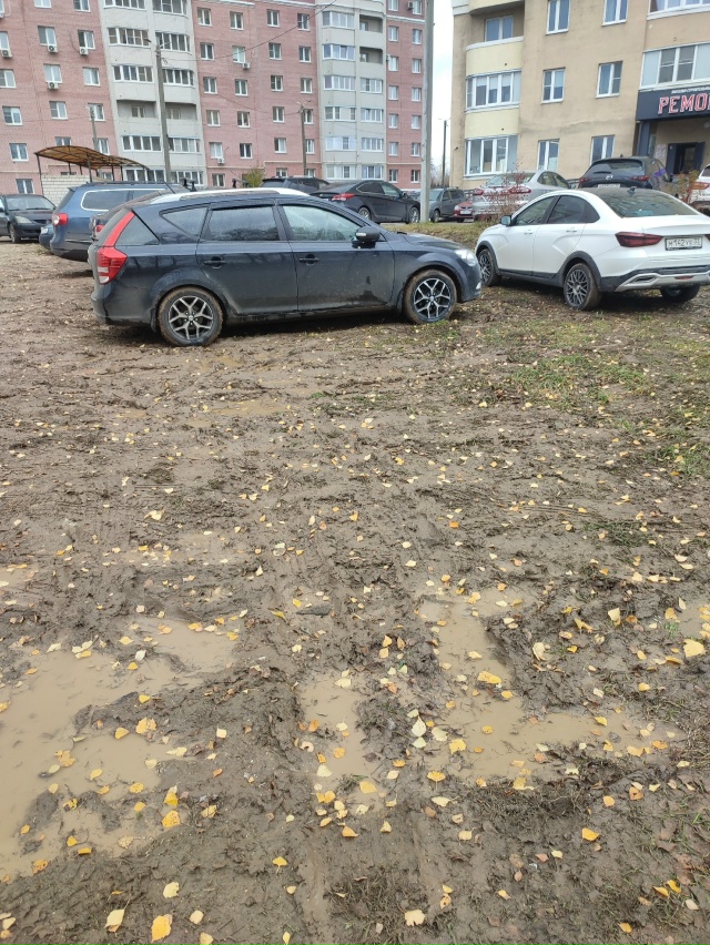 Веризинские поросята, вам нормально так живётся? Дома ?...