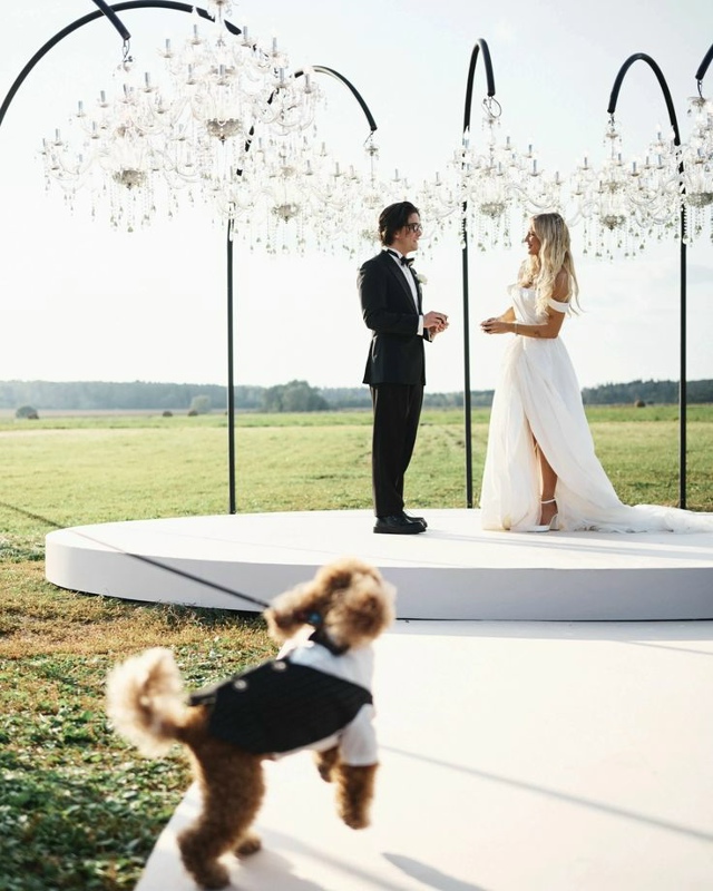 На красивые свадьбы никогда не поздно смотреть 😍
Сва?...