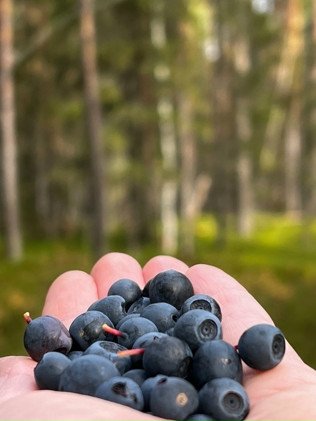 Золотая осень Пермского края 🍁
📷 Ира Чекамеева