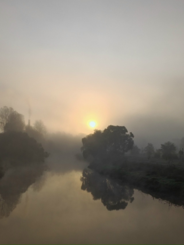 Здравствуй, новый день🙏🌞