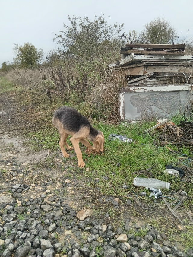 Сегодня ночью либо утром 