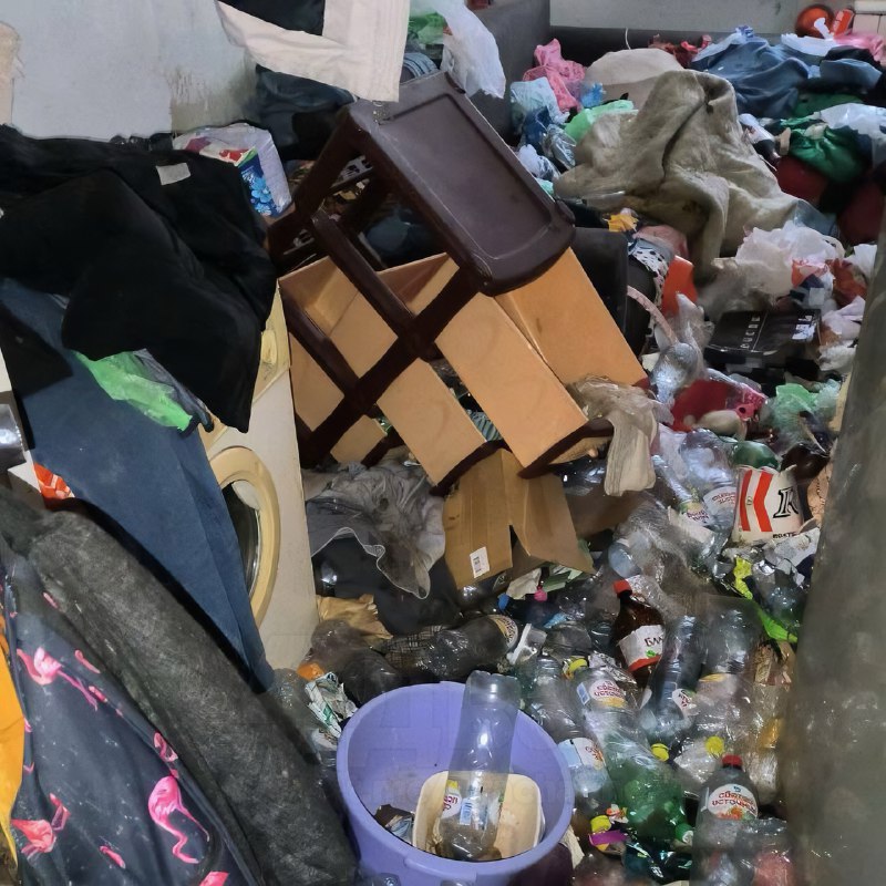 Российская альтушка превратила съёмную квартиру в свалку — среди мусора даже нашли мёртвую кошку
Жи