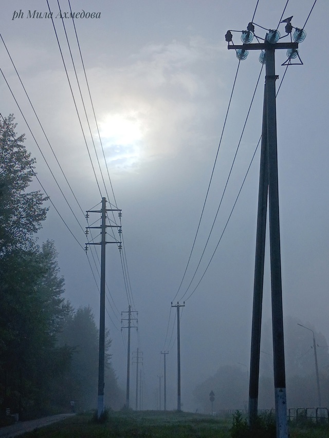 Утро туманное...🌫Всем хорошего дня и отличного настро?...