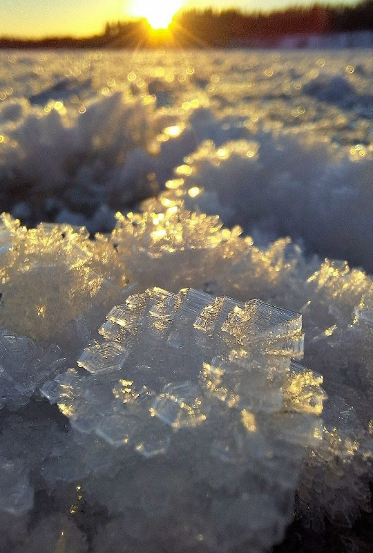❄ Колвицкое озеро уже разрисовал мороз
Северянка Св?...