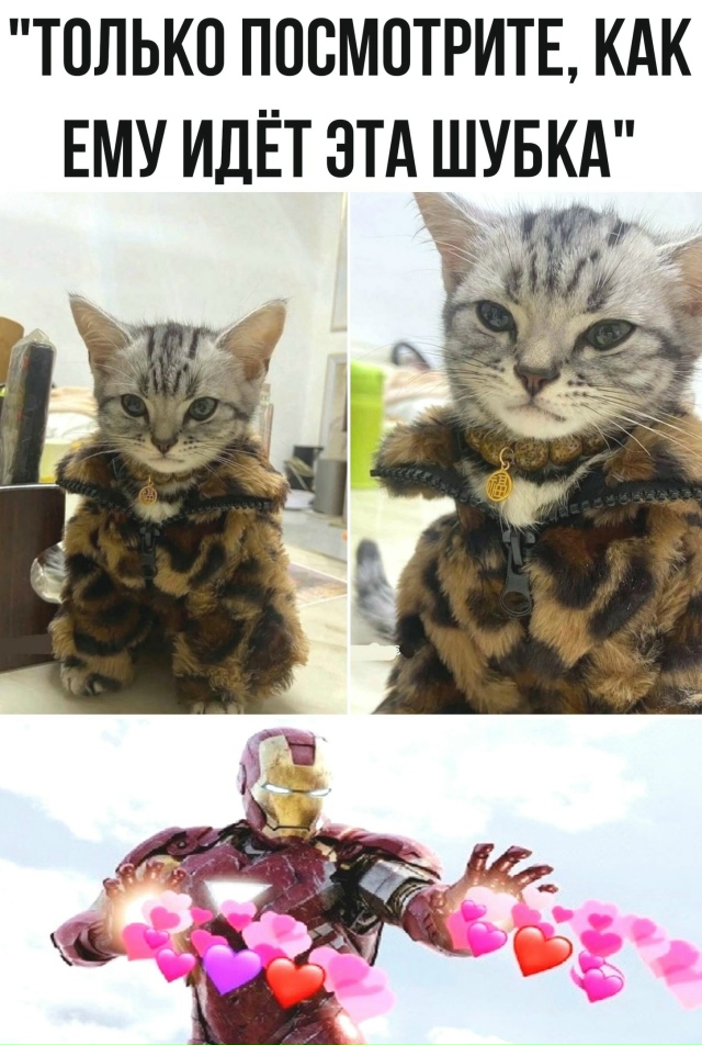 Безумные приколы