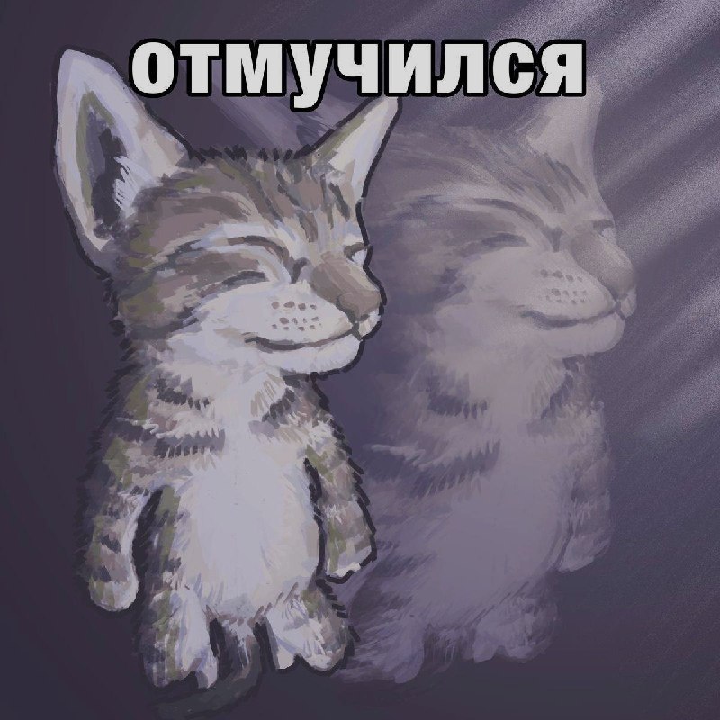 Ночная подборочка
Спать, режим