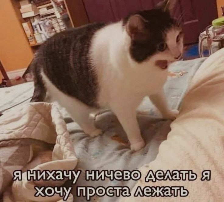 Ночная подборочка
Спать, режим