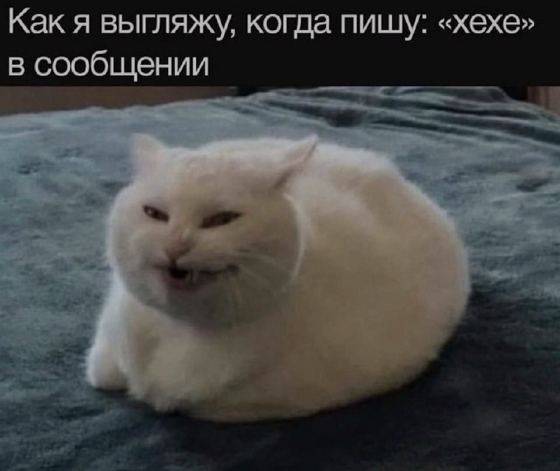 Ночная подборочка
Спать, режим