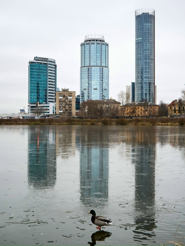Ноябрь в Екатеринбурге🍂