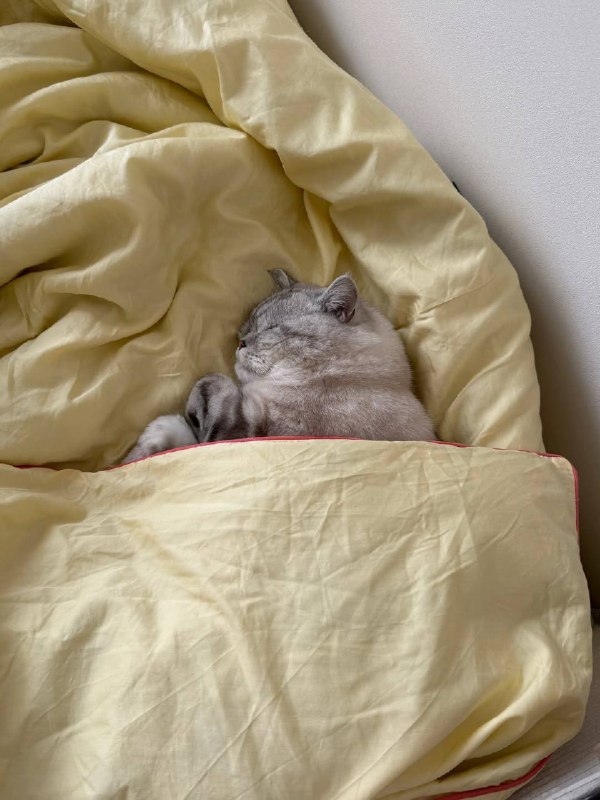 Наконец-то споть :3