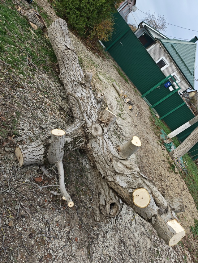 Админ, пропусти пожалуйста.
Дрова бесплатно. Самовывоз...